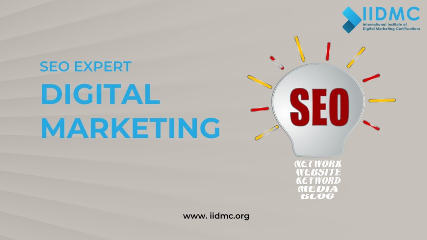 The Role of an SEO Expert in Modern Digital Marketing