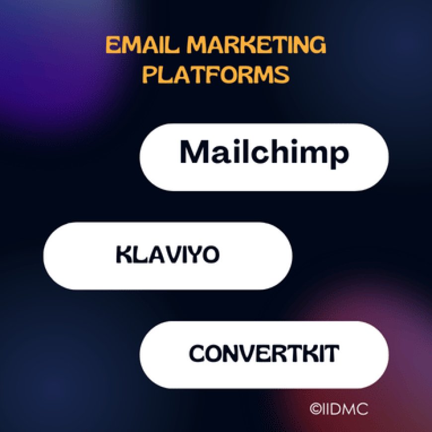 Email Marketing Platforms