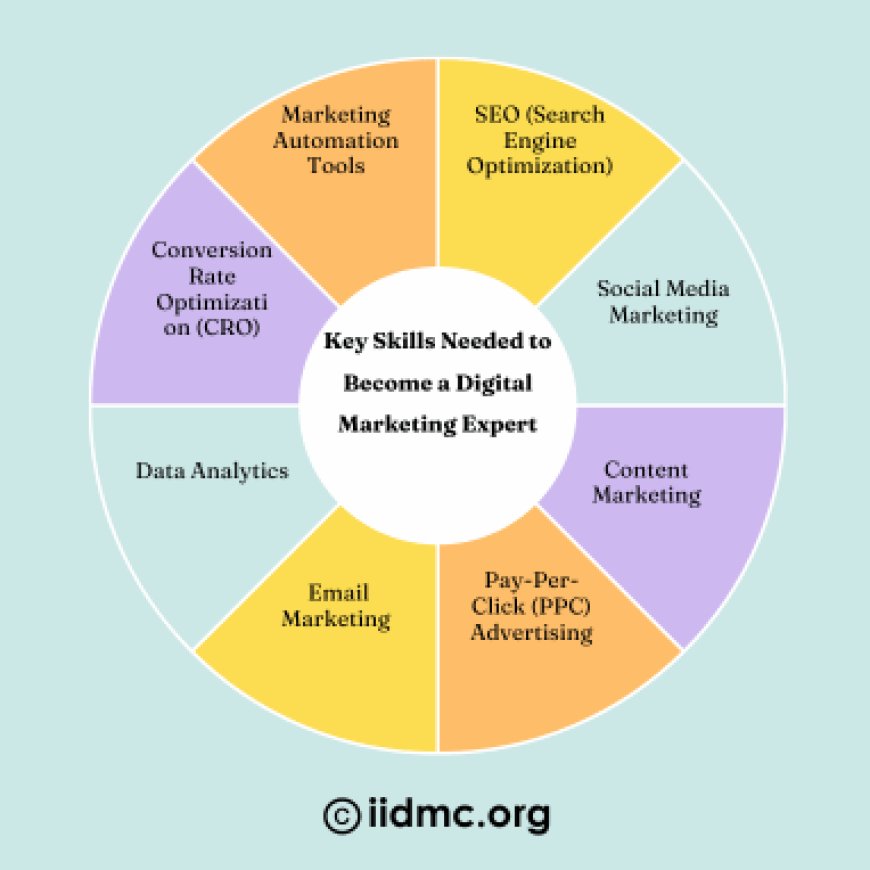 Key Skills Needed to Become a Digital Marketing Expert