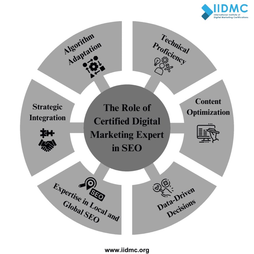 The Role of Certified Digital Marketing Expert in SEO