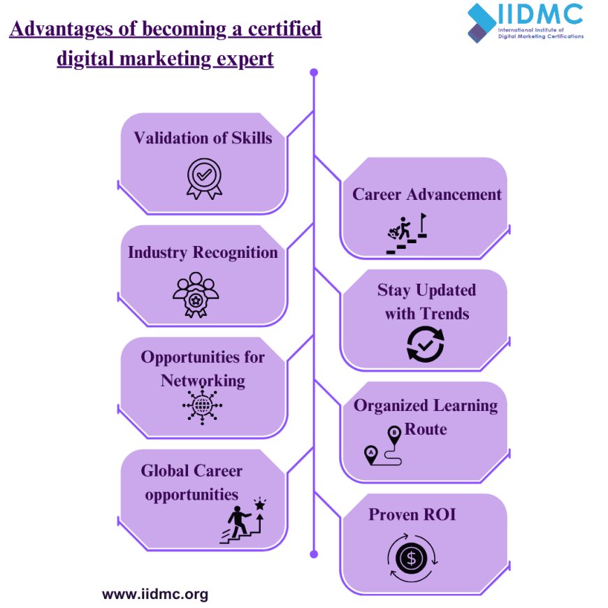 advantages of becoming a certified digital marketing expert