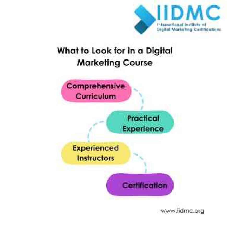What to Look for in a Digital Marketing Course