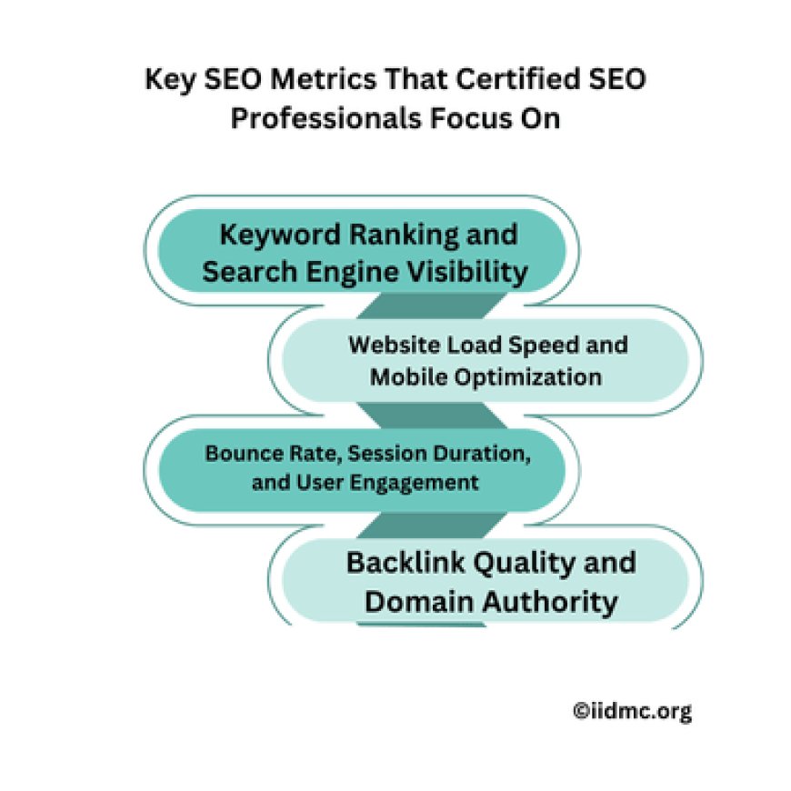 Key SEO Metrics That Certified SEO Professionals Focus On