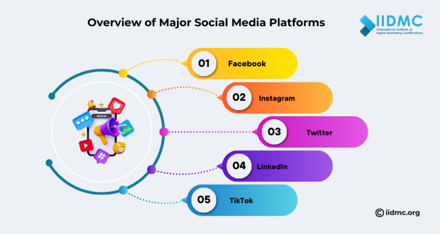 Overview of Major Social Media Platforms