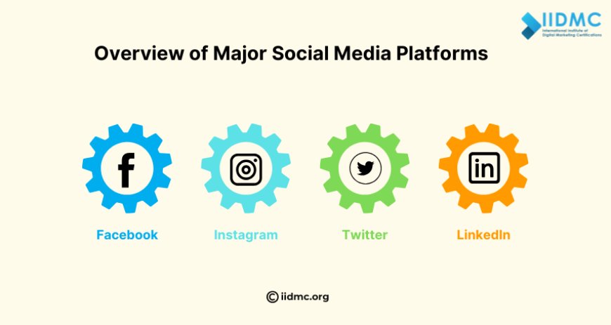Overview of Major Social Media Platforms