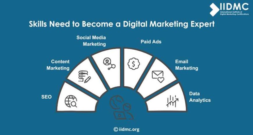 Skills Need to Become a Digital Marketing Expert