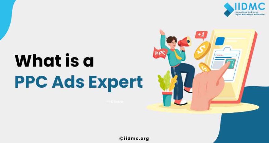 What is a PPC Ads Expert?