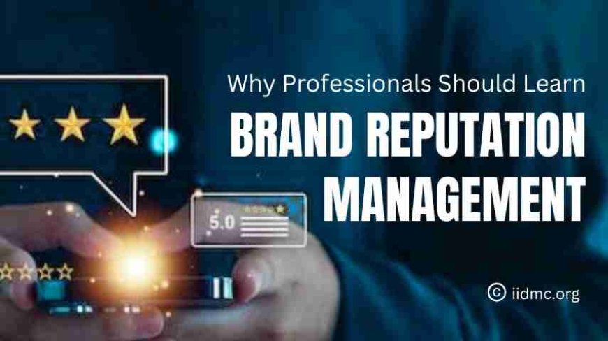 Why Professionals Should Learn Brand Reputation Management