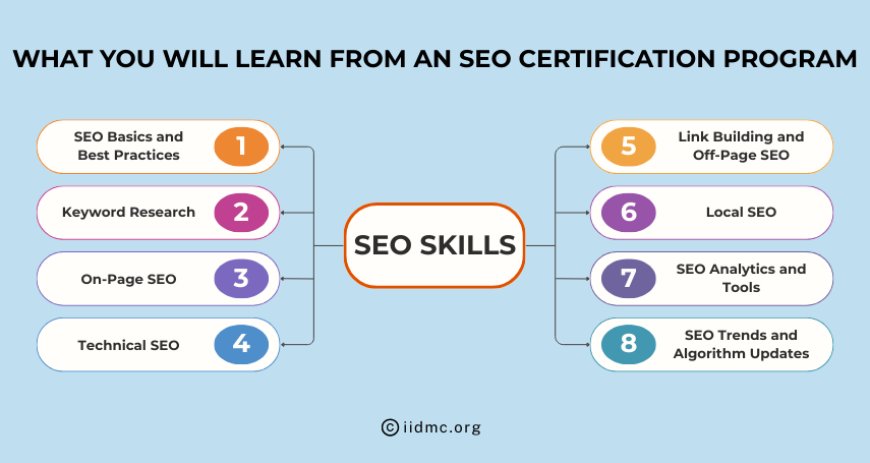 What You Will Learn from SEO Certification Programs