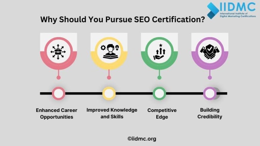 Why Should You Pursue SEO Certification