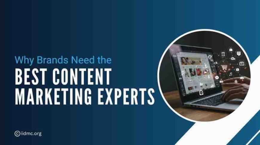 Why Every Brand Needs the Best Content Marketing Professionals